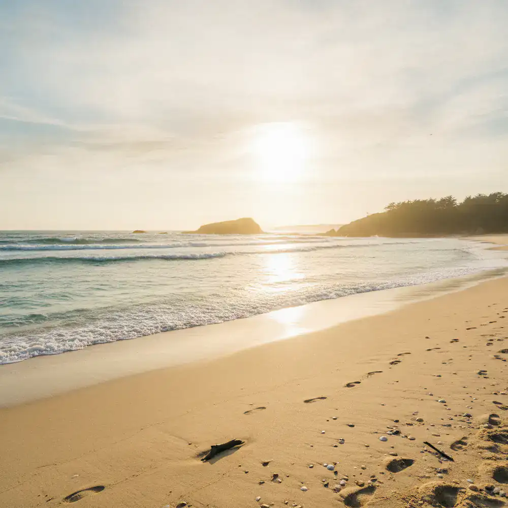 Sunny coastal beach view with calm waves