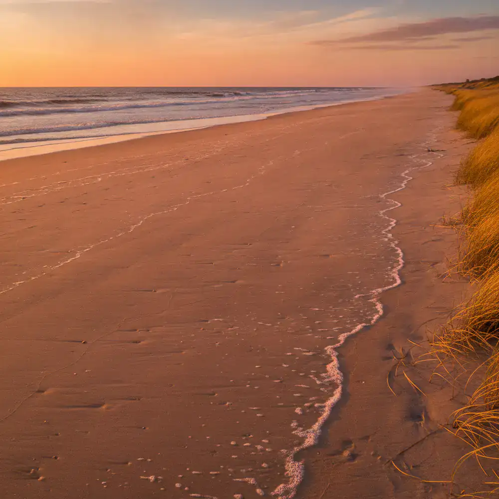 Golden sandy beach stretching into the horizon at sunset